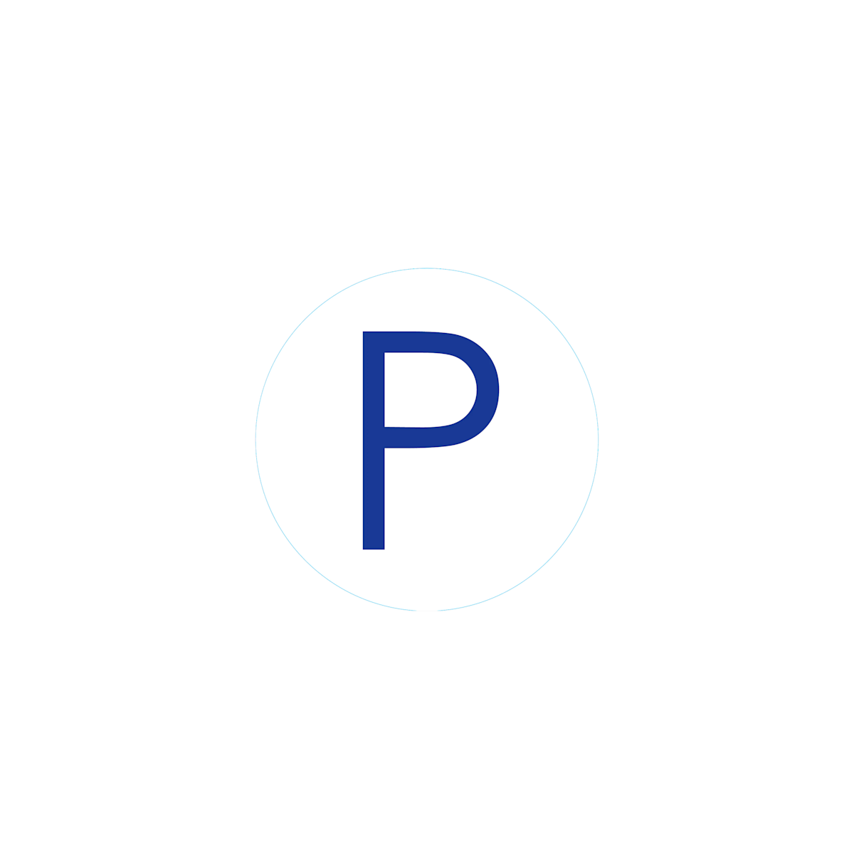 Bogg Bit - Initial "P"
